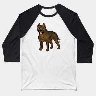 Dog - American Staffordshire Terrier - Cropped Brown Brindle Baseball T-Shirt